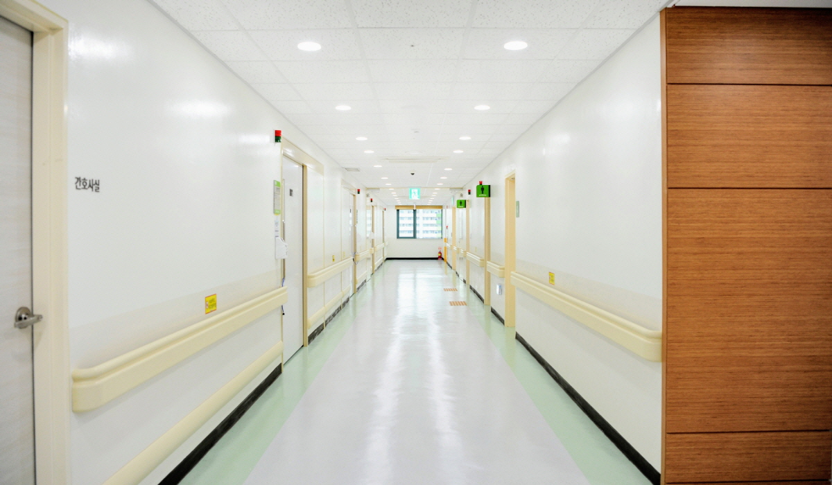 Corridor handrail
